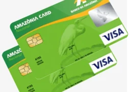 Cartão de crédito Amazônia Card