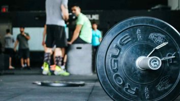 como montar um treino de musculação