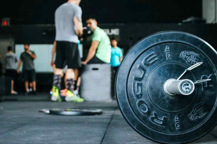 como montar um treino de musculação